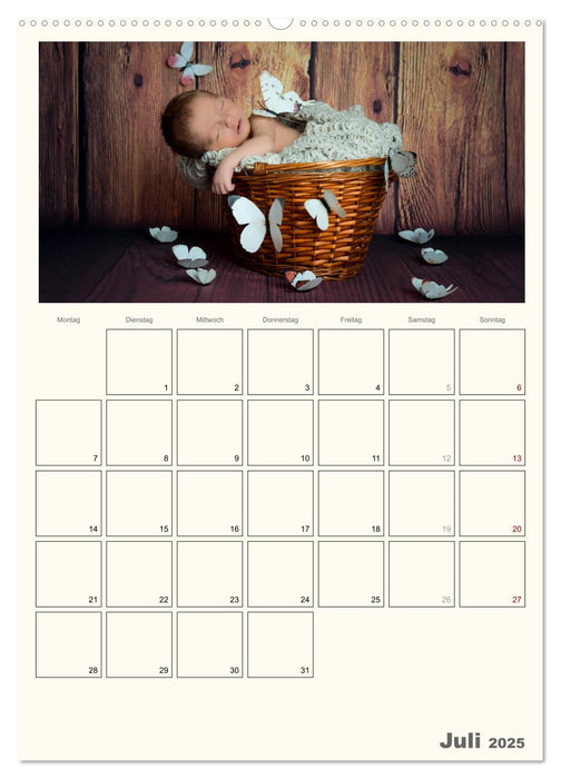 Winzigklein - Hallo Leben! (CALVENDO Premium Wandkalender 2025)
