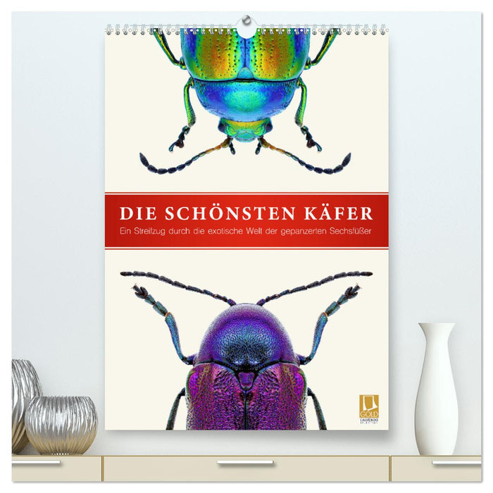 Die schönsten Käfer (CALVENDO Premium Wandkalender 2025)