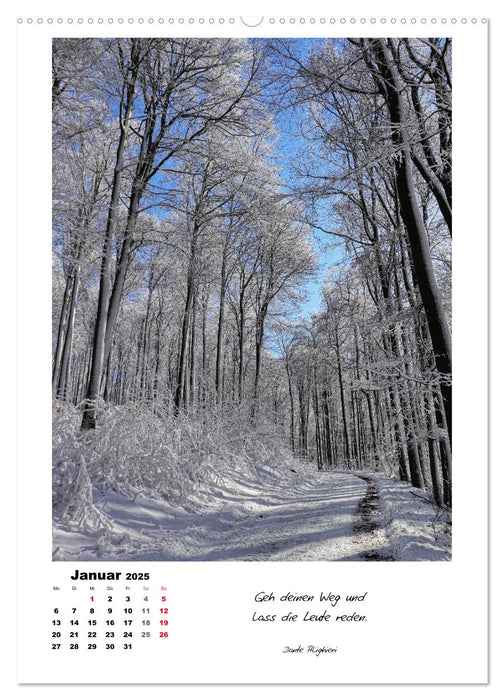 Wege durchs Jahr - Spaziergänge im schönen Nordhessen (CALVENDO Wandkalender 2025)