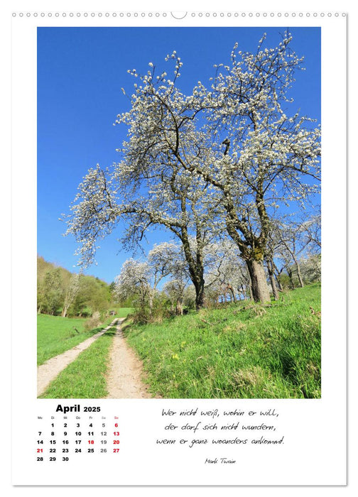 Wege durchs Jahr - Spaziergänge im schönen Nordhessen (CALVENDO Wandkalender 2025)