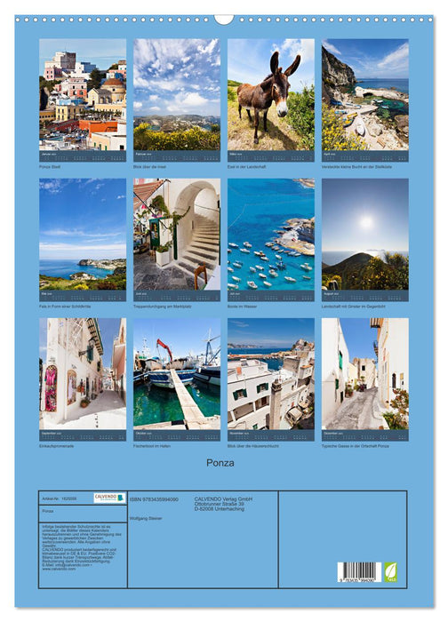 Ponza (CALVENDO Wandkalender 2025)