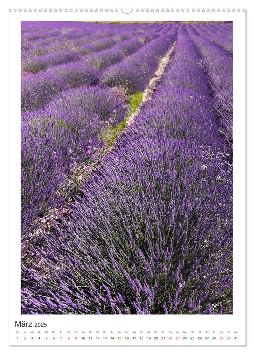 Provence Momente (CALVENDO Premium Wandkalender 2025)