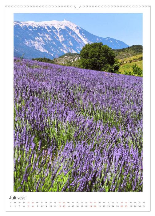 Provence Momente (CALVENDO Premium Wandkalender 2025)