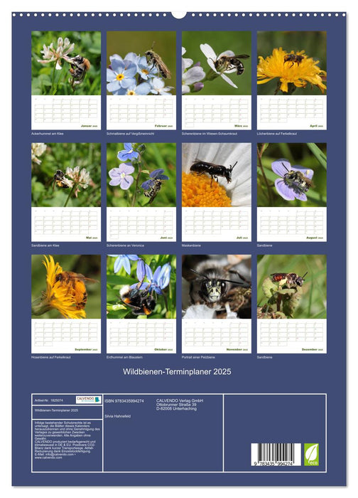 Wildbienen-Terminplaner 2025 (CALVENDO Premium Wandkalender 2025)