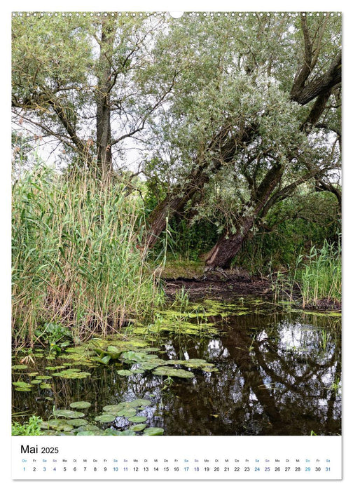 Havel-Sommer - Landschaften im Havelland (CALVENDO Premium Wandkalender 2025)