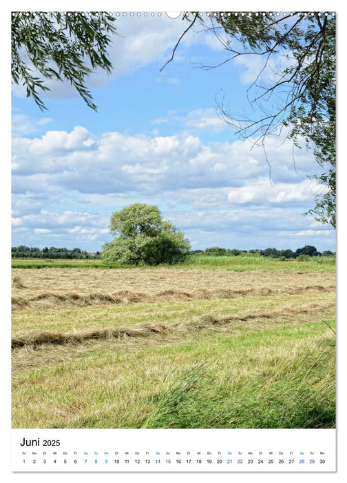 Havel-Sommer - Landschaften im Havelland (CALVENDO Premium Wandkalender 2025)