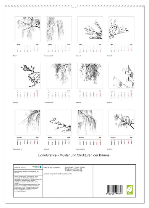 LignoGrafica - Muster und Strukturen der Bäume (CALVENDO Premium Wandkalender 2025)