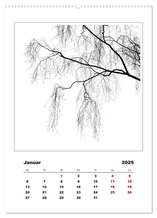 LignoGrafica - Muster und Strukturen der Bäume (CALVENDO Premium Wandkalender 2025)