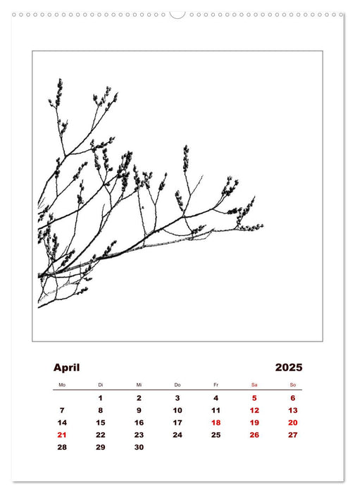 LignoGrafica - Muster und Strukturen der Bäume (CALVENDO Premium Wandkalender 2025)