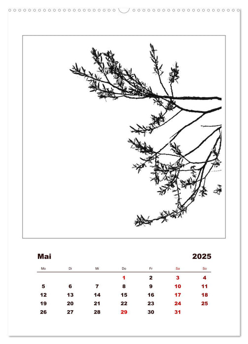 LignoGrafica - Muster und Strukturen der Bäume (CALVENDO Premium Wandkalender 2025)