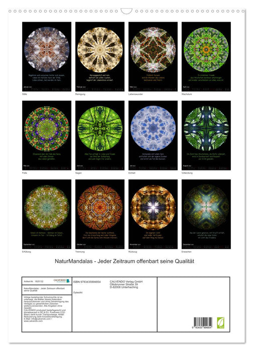 NaturMandalas - Jeder Zeitraum offenbart seine Qualität (CALVENDO Wandkalender 2025)