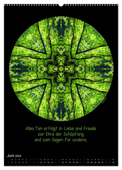 NaturMandalas - Jeder Zeitraum offenbart seine Qualität (CALVENDO Wandkalender 2025)