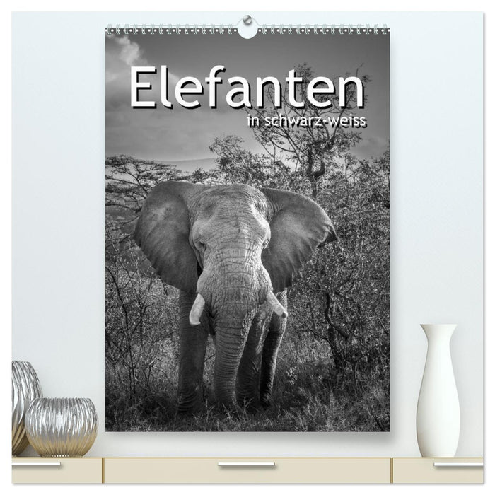 Elefanten in schwarz-weiss (CALVENDO Premium Wandkalender 2025)