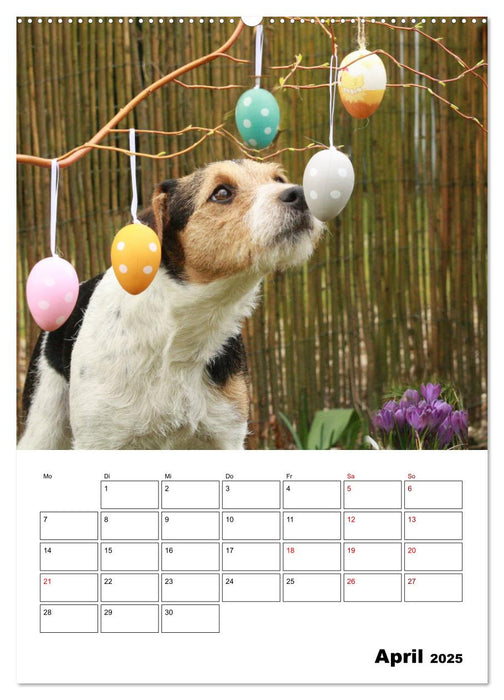 Tender Fellows - Parson Russell Terrier (CALVENDO Wandkalender 2025)