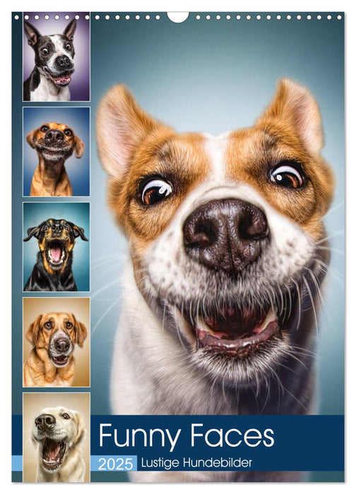 Funny Faces - Lustige Hundebilder (CALVENDO Wandkalender 2025)