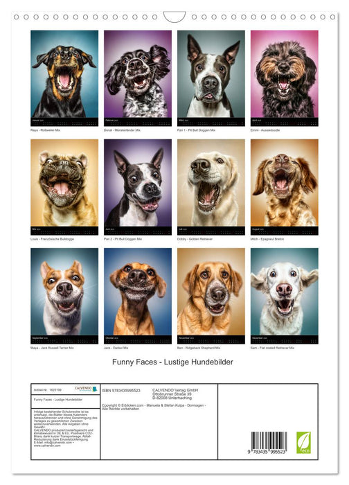 Funny Faces - Lustige Hundebilder (CALVENDO Wandkalender 2025)