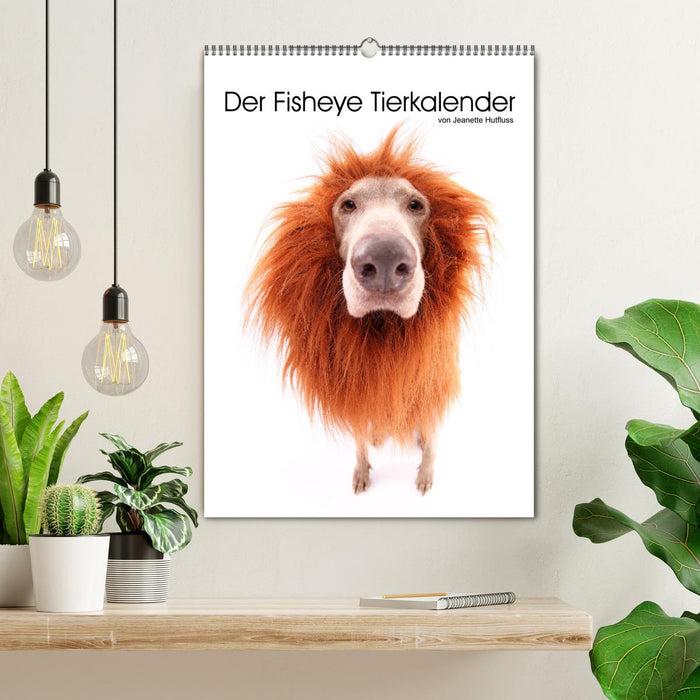 Der Fisheye Tiere Kalender (CALVENDO Wandkalender 2025)