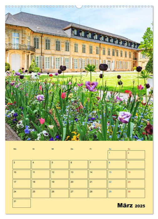 Bayreuth - die oberfränkische Hauptstadt (CALVENDO Premium Wandkalender 2025)