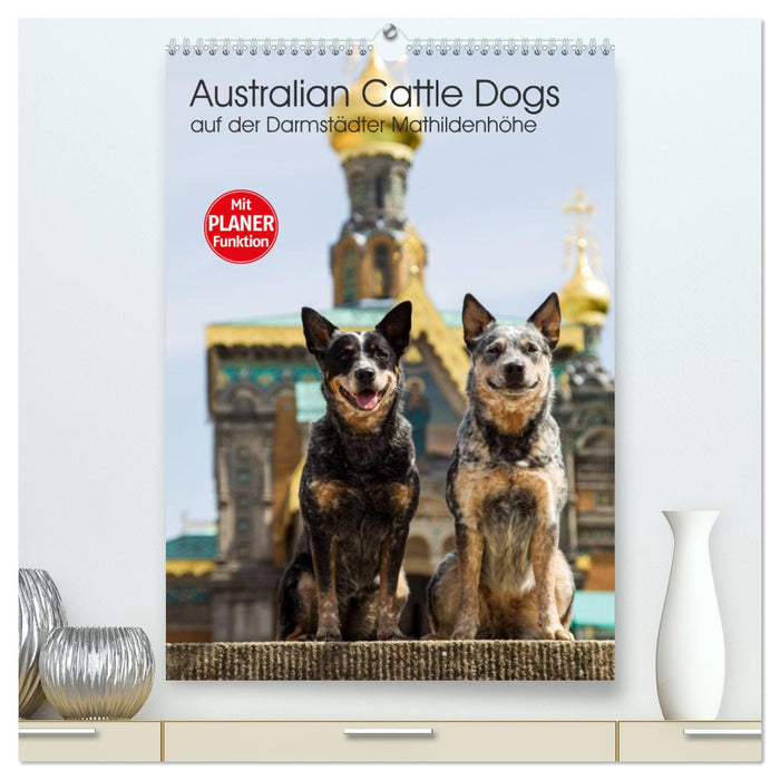 Australian Cattle Dogs auf der Darmstädter Mathildenhöhe (CALVENDO Premium Wandkalender 2025)