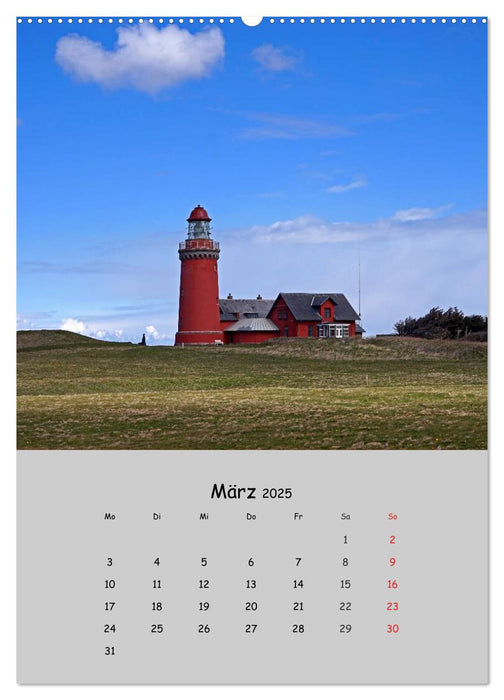 Dänemarks Westküste 2025 (CALVENDO Premium Wandkalender 2025)