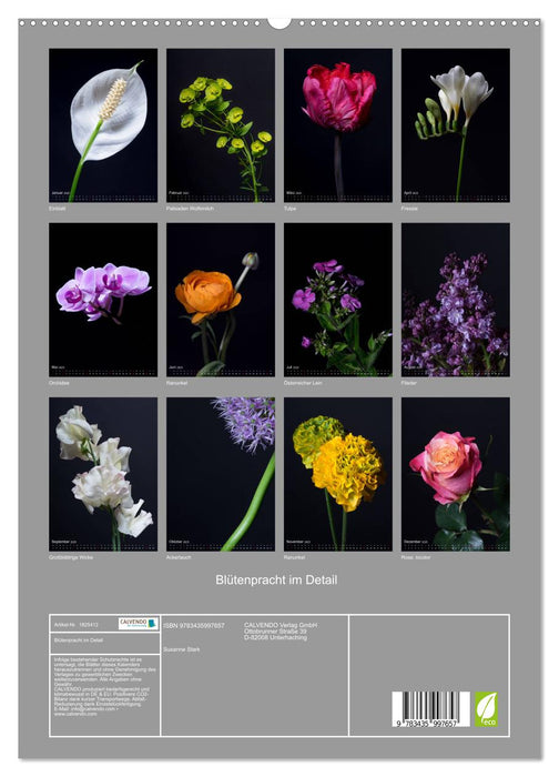 Blütenpracht im Detail (CALVENDO Premium Wandkalender 2025)
