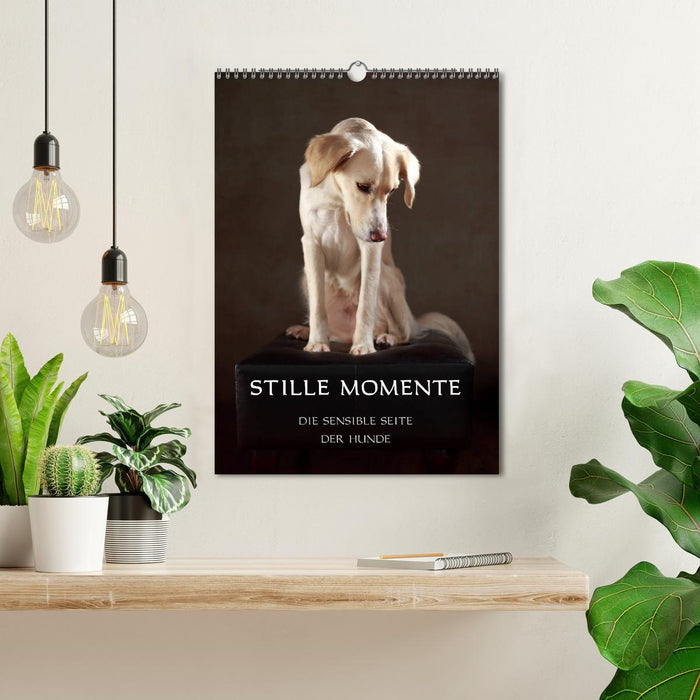 Stille Momente - Die sensible Seite der Hunde (CALVENDO Wandkalender 2025)