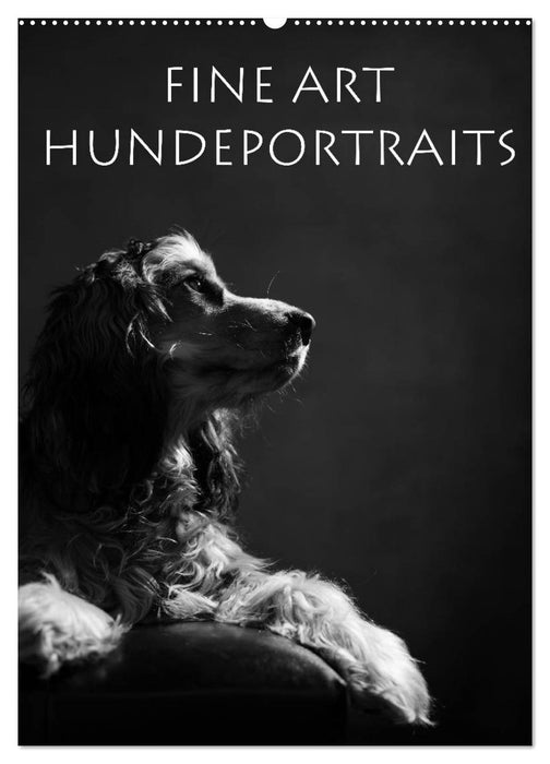Fine Art Hundeportraits (CALVENDO Wandkalender 2025)