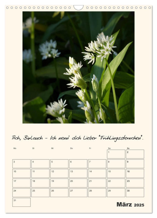 Gartengeschichten (CALVENDO Wandkalender 2025)