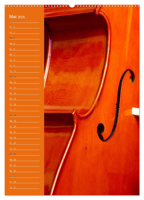 Geliebtes Cello (CALVENDO Premium Wandkalender 2025)