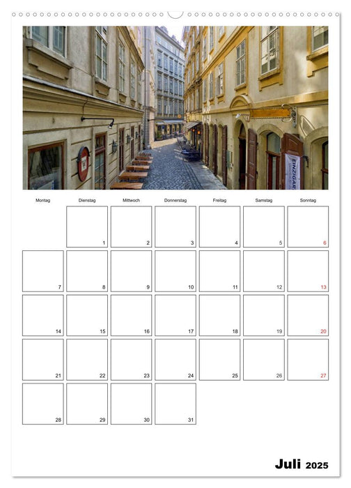 Mein Wien. Juwel an der Donau (CALVENDO Premium Wandkalender 2025)