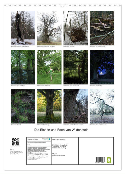 Die Eichen und Feen von Wildenstein (CALVENDO Wandkalender 2025)
