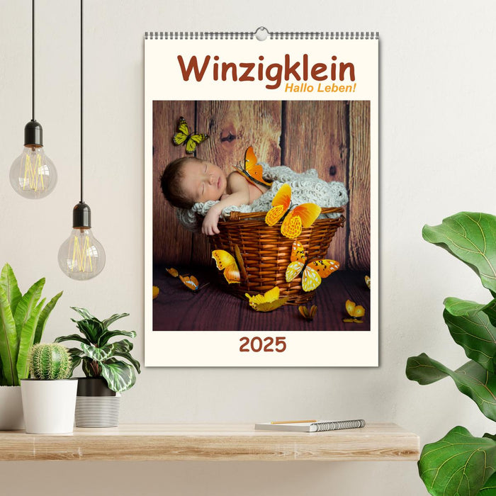 Winzigklein - Hallo Leben! (CALVENDO Wandkalender 2025)