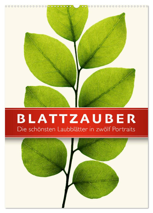 Blattzauber (CALVENDO Wandkalender 2025)