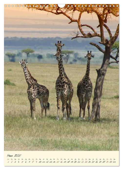 Faszination Safari. Wildlife in Kenia (CALVENDO Wandkalender 2025)
