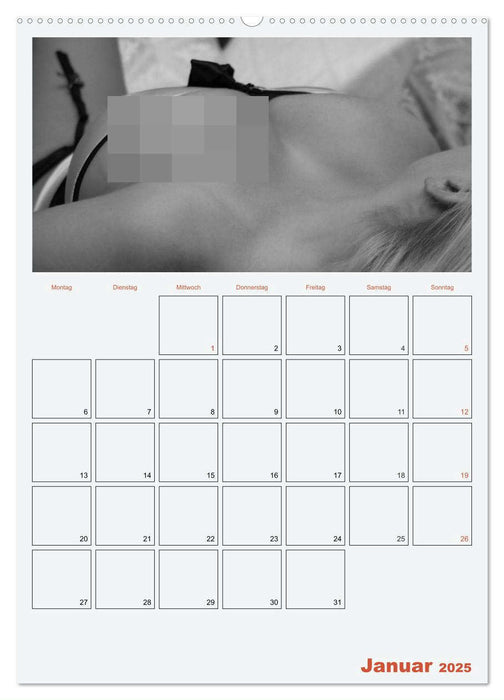 Erotik. Sinnliche Rundungen (CALVENDO Premium Wandkalender 2025)
