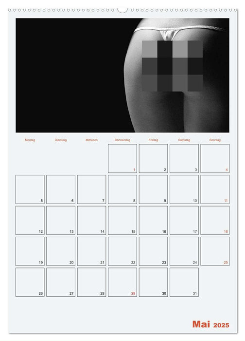 Erotik. Sinnliche Rundungen (CALVENDO Premium Wandkalender 2025)