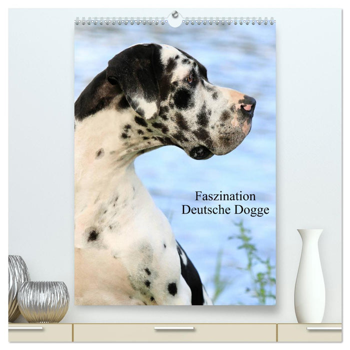 Faszination Deutsche Dogge (CALVENDO Premium Wandkalender 2025)