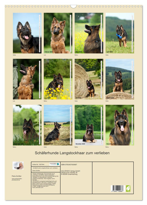 Schäferhunde Langstockhaar zum verlieben (CALVENDO Wandkalender 2025)