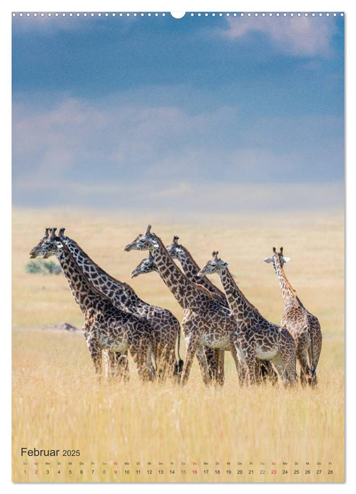 Emotionale Momente: Giraffen, die höchsten Tiere der Welt. (CALVENDO Premium Wandkalender 2025)