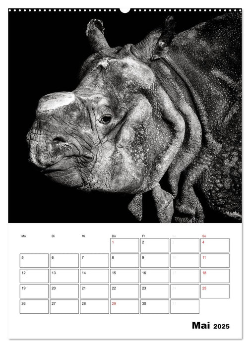 Charakterköpfe aus der Welt der Tiere (CALVENDO Premium Wandkalender 2025)