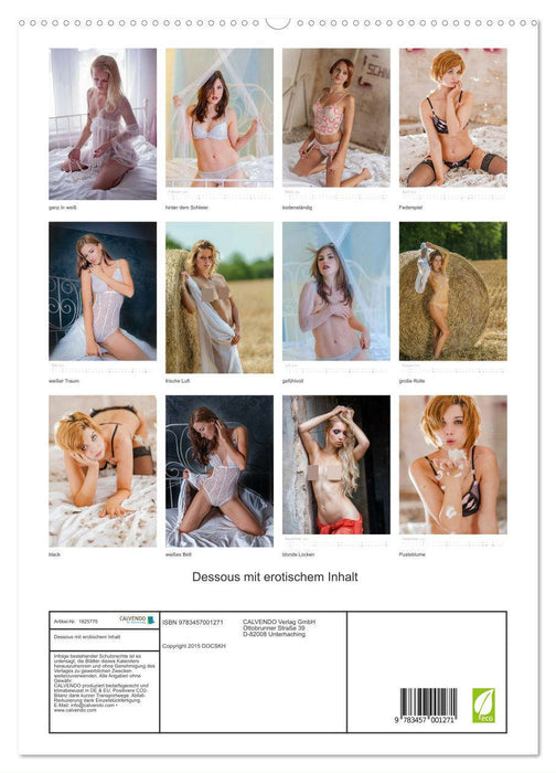 Dessous mit erotischem Inhalt (CALVENDO Premium Wandkalender 2025)