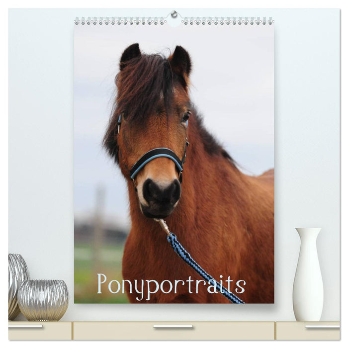 Wandkalender Ponyportraits (CALVENDO Premium Wandkalender 2025)