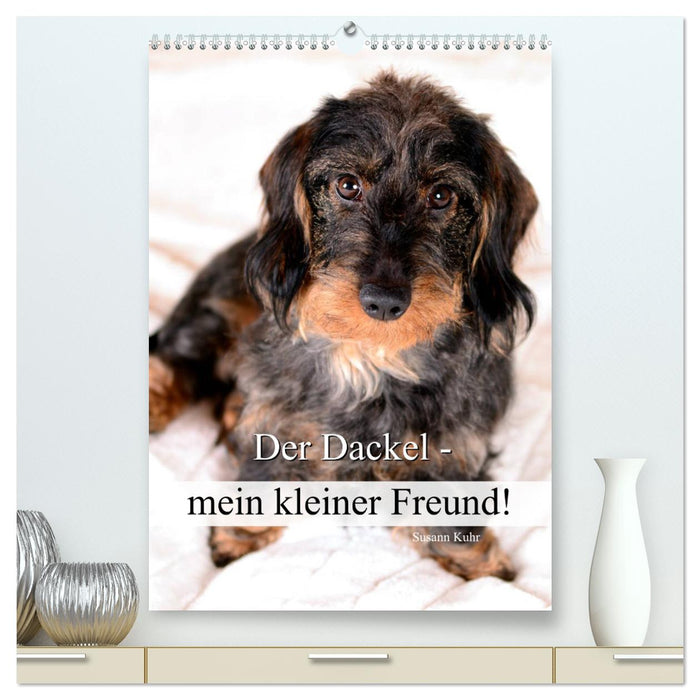 Der Dackel - mein kleiner Freund (CALVENDO Premium Wandkalender 2025)