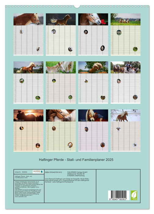 Haflinger Pferde - Stall- und Familienplaner 2025 (CALVENDO Premium Wandkalender 2025)