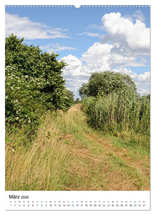 Havel-Sommer - Landschaften im Havelland (CALVENDO Wandkalender 2025)