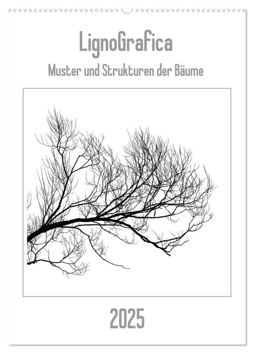 LignoGrafica - Muster und Strukturen der Bäume (CALVENDO Wandkalender 2025)