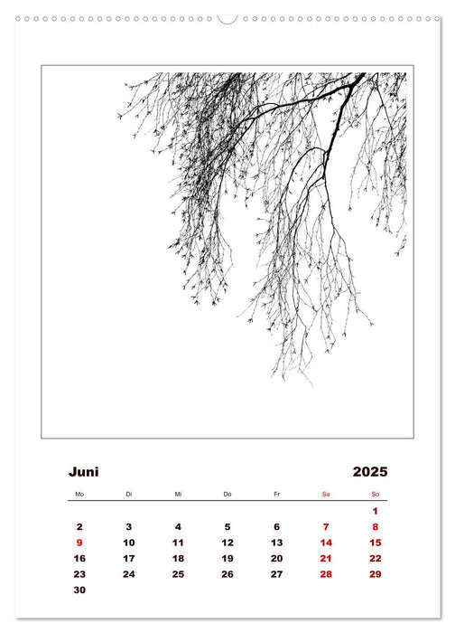 LignoGrafica - Muster und Strukturen der Bäume (CALVENDO Wandkalender 2025)