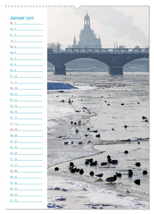 Frauenkirche Dresden (CALVENDO Premium Wandkalender 2025)