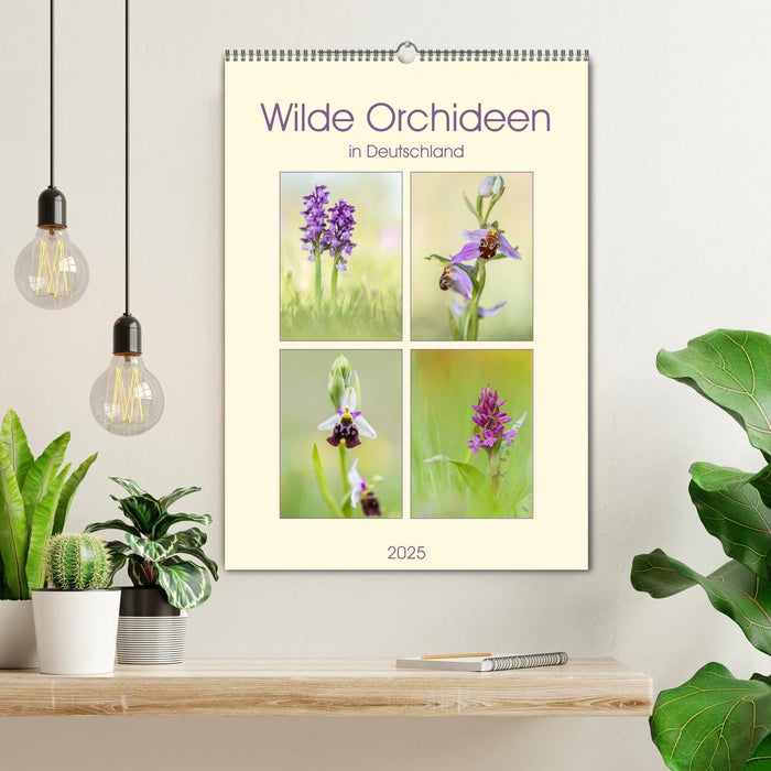 Wilde Orchideen in Deutschland 2025 (CALVENDO Wandkalender 2025)