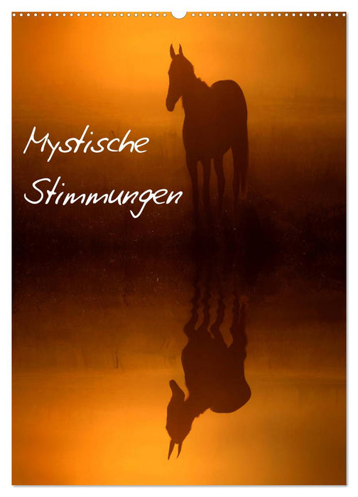 Mystische Stimmungen (CALVENDO Wandkalender 2025)